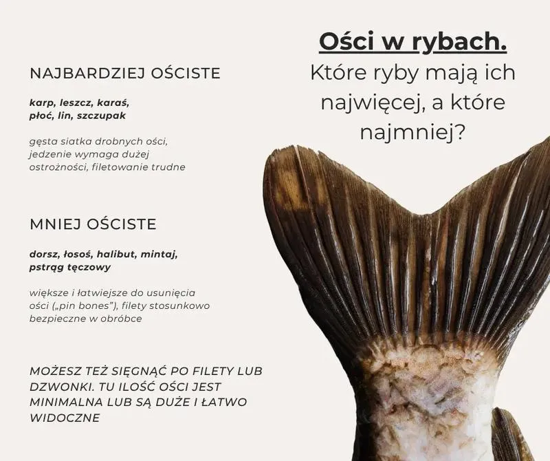 Bez trwogi w kuchni: sprawdzone sposoby, jak wyjąć ości z ryby