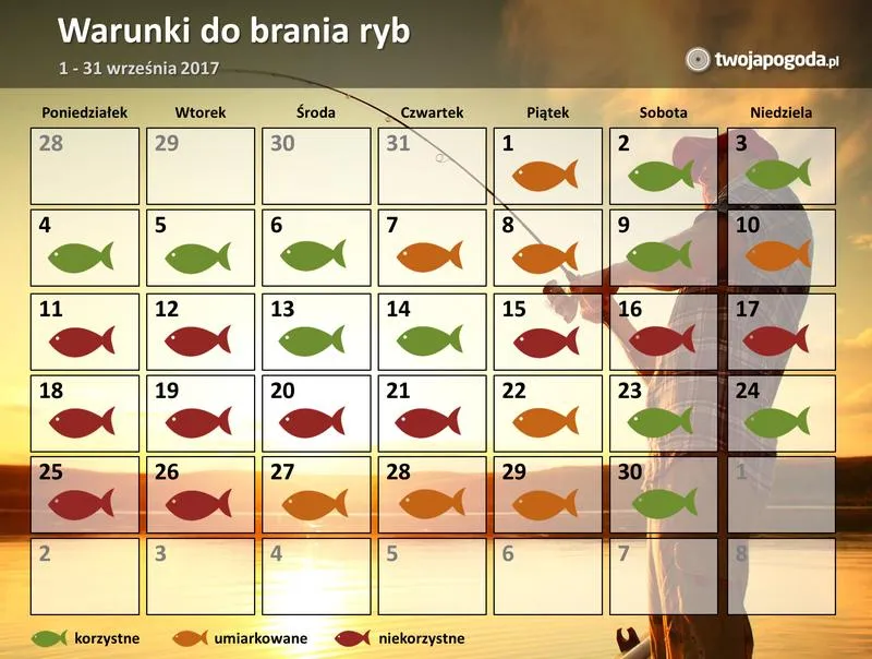 Co warto wiedzieć o braniach ryb w tym tygodniu?