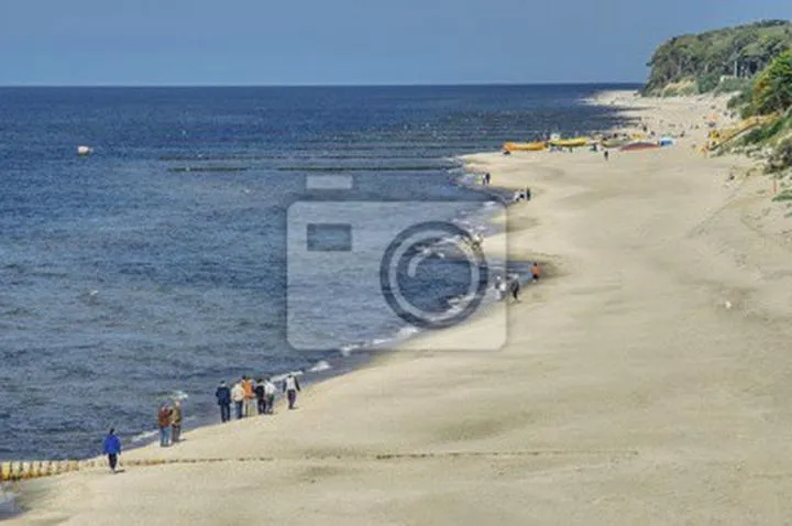 Co warto wiedzieć o rybach, które biorą w kwietniu na stawach?