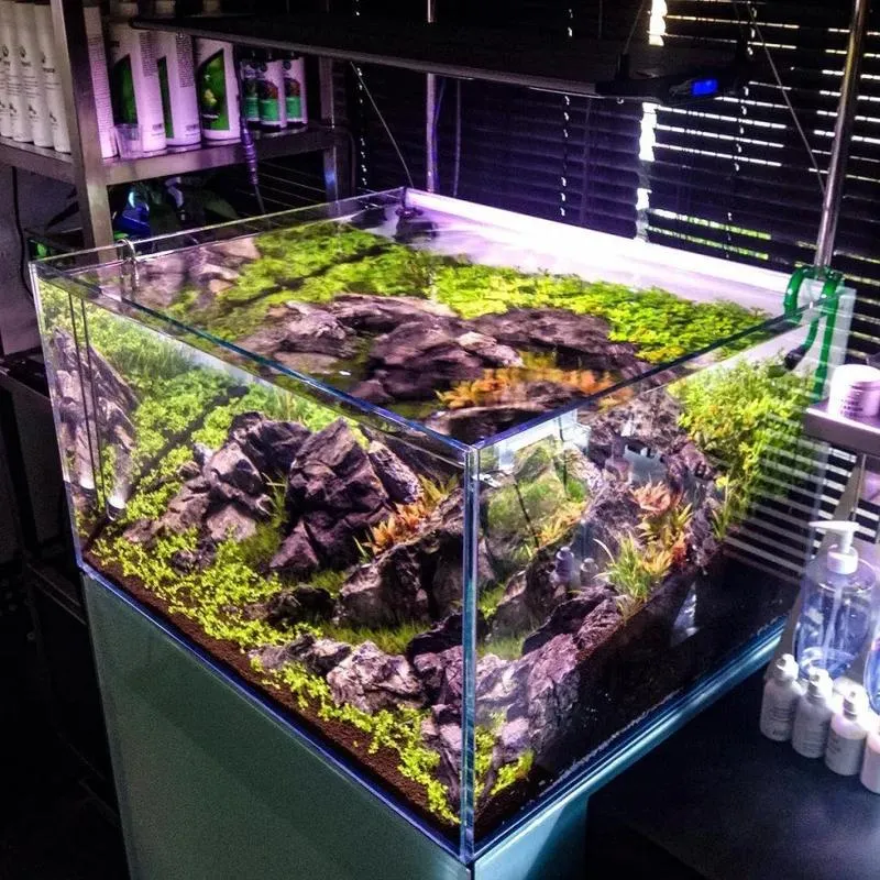 Czy akwarium optiwhite to dobry wybór dla Twojego wnętrza?