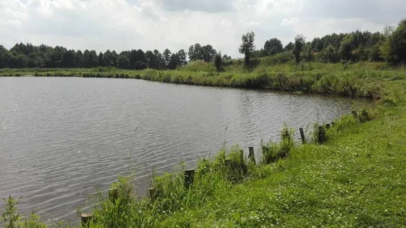 Czy biorą już ryby? Sprawdź najnowsze wieści z łowisk!