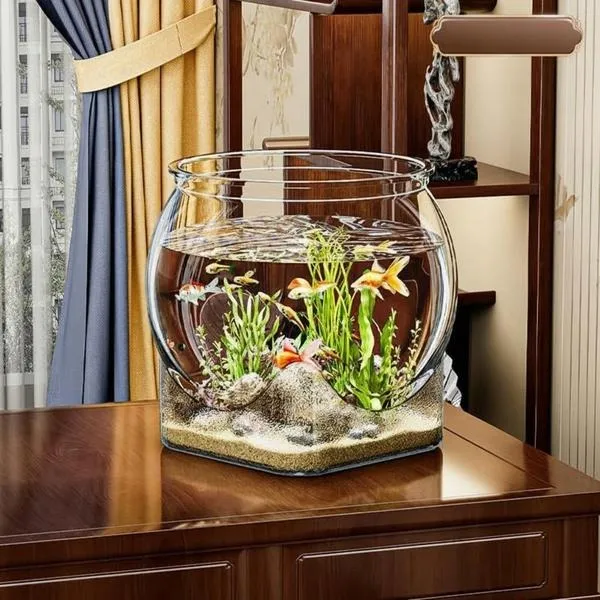 Czy żółwie i ryby mogą tworzyć harmonijną wspólnotę w akwarium?