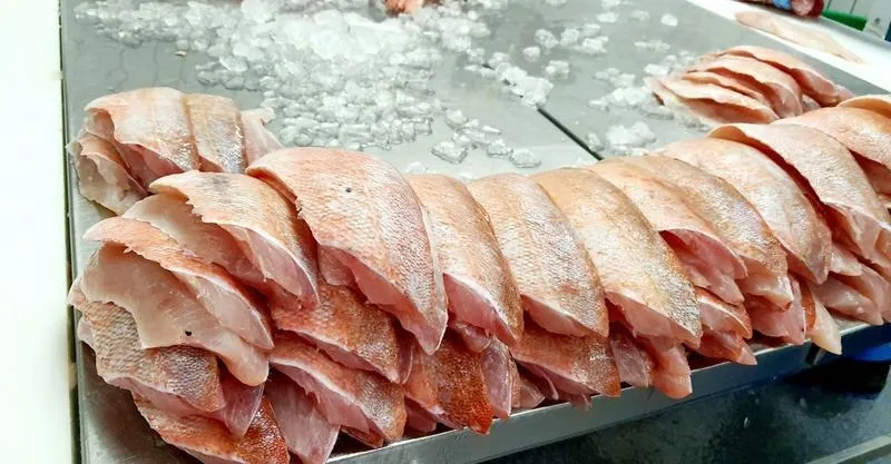 Gdzie można spotkać karmazyna? Odkryj tajemnice jego występowania