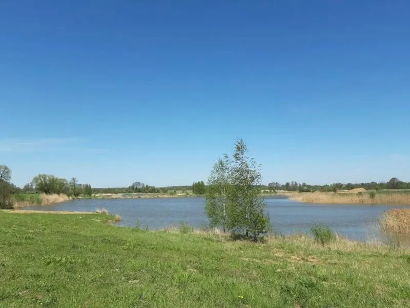 Gdzie na ryby w Radomiu? Odkryj najlepsze łowiska i porady dla wędkarzy