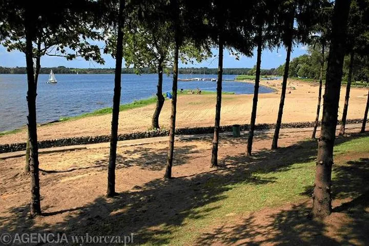 Gdzie na ryby w Zalewie Zegrzyńskim? Oto najlepsze miejsca do wędkowania