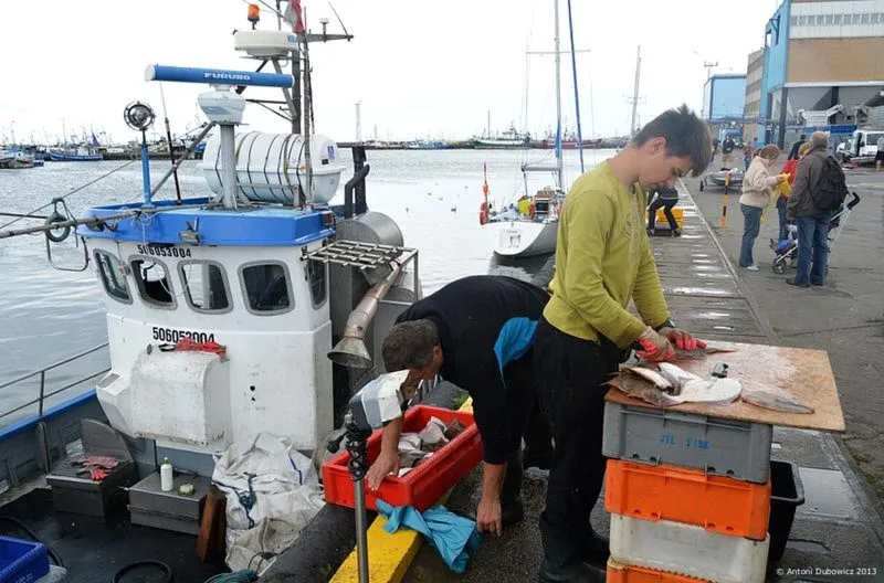 Gdzie szukać najlepszej ryby prosto z kutra? Przewodnik dla smakoszy