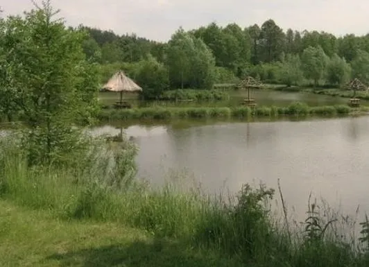 Gdzie w Łódzkiem można łowić ryby bez karty wędkarskiej? Odkryj najlepsze miejsca!