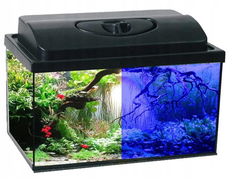 Ile uzdatniacza do akwarium dodać, aby zapewnić zdrowe środowisko dla ryb?