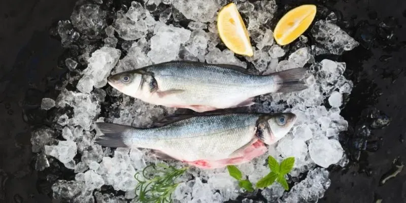 Jak długo ryba może czekać w lodówce na smakowity posiłek?