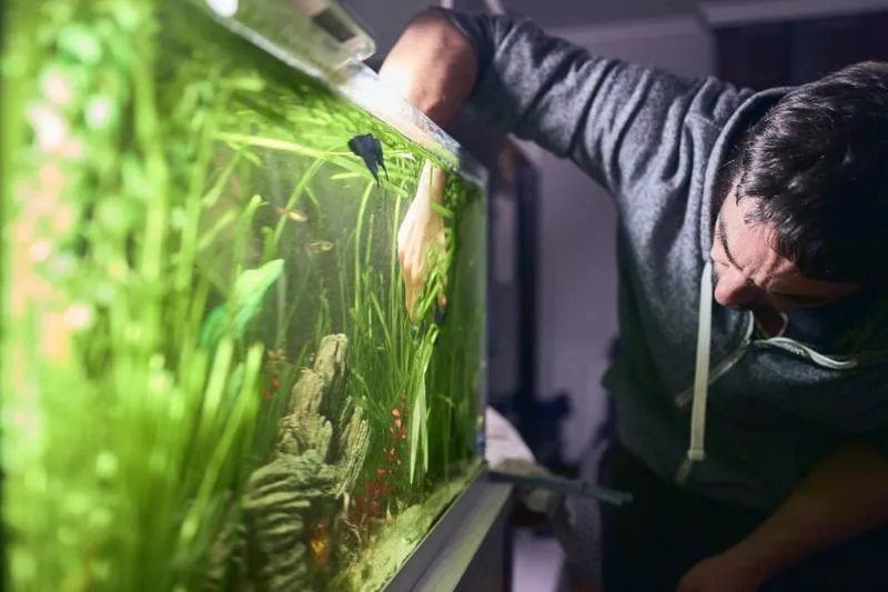 Jak skutecznie czyścić puste akwarium – poradnik krok po kroku