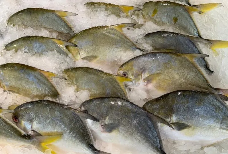 Jak skutecznie leczyć zatrucie rybą maślaną?