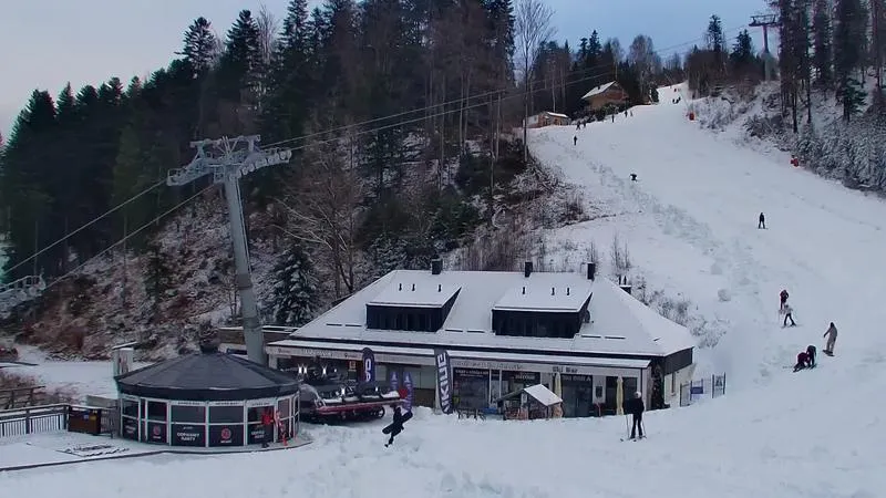 Jakie ryby można spotkać przy zaporze w Solinie? Przewodnik dla wędkarzy