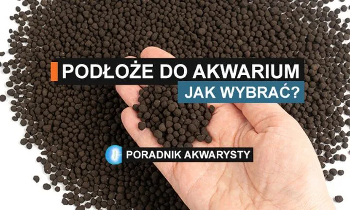 Najlepsze materiały na dno akwarium – co wybrać dla zdrowego środowiska?