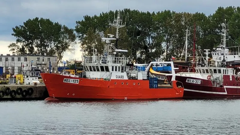 Najpopularniejsze gatunki ryb łowionych w Bałtyku – co warto wiedzieć?