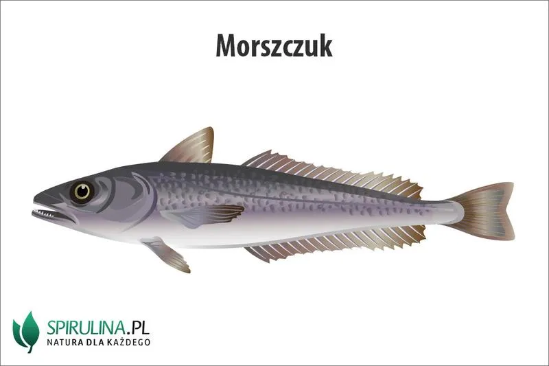 Odkryj, jaka jest twoja ulubiona ryba - poradnik dla smakoszy morszczuków i tuńczyków