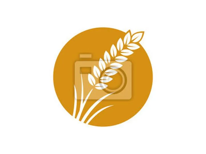 Sekrety idealnego zaparzenia pszenicy na ryby – sprawdź, jak to zrobić!