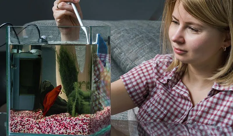 Skuteczne metody na usunięcie kamienia z akwarium, które warto znać