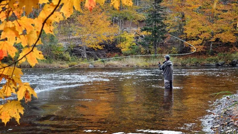 Skuteczne techniki łowienia ryb jesienią – poradnik dla wędkarzy