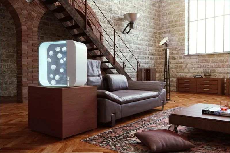 Tworzenie idealnego akwarium dla meduz – poradnik krok po kroku