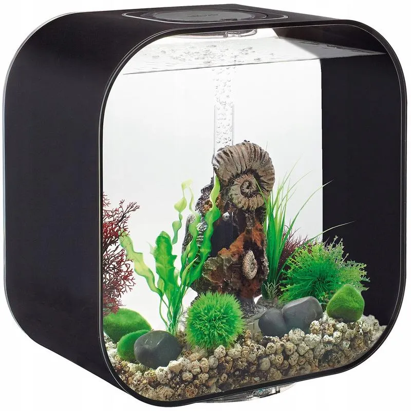 30 litrowe akwarium
