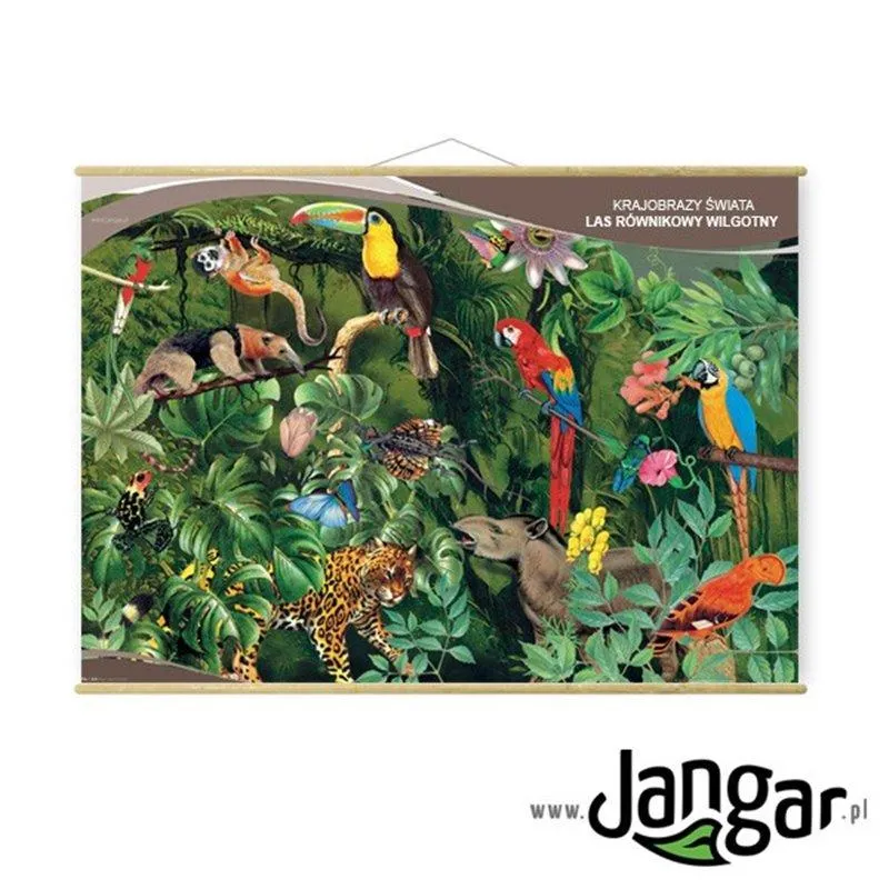 Adaptacje ryb do życia na lądzie