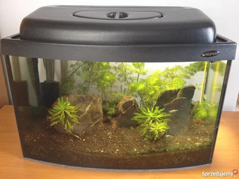 Akwarium 25l