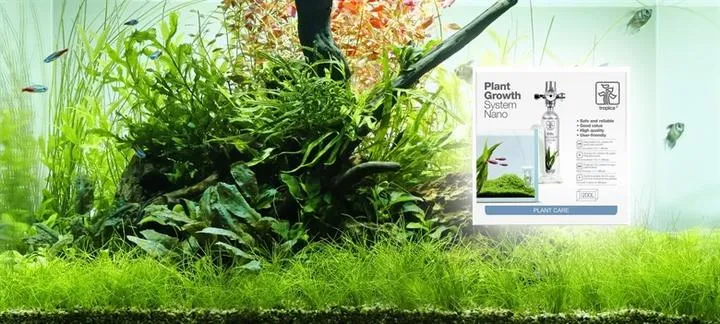 CO2 dla roślin akwariowych