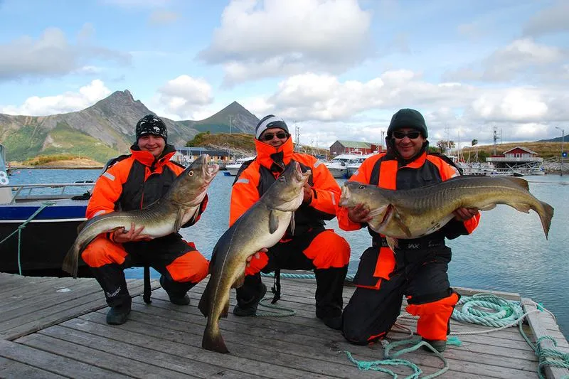 Chłodzenie i świeżość ryb