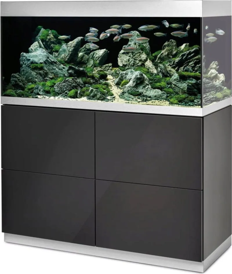 Cykl azotowy w akwarystyce