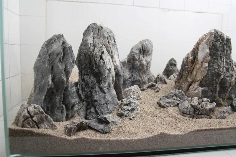 Czyszczenie szyby akwarium