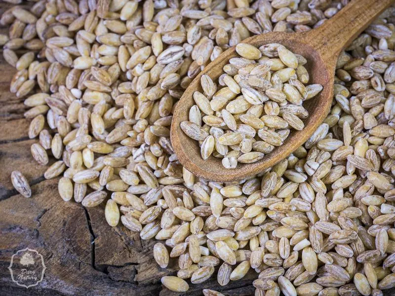 Dania z pęczakiem i rybą