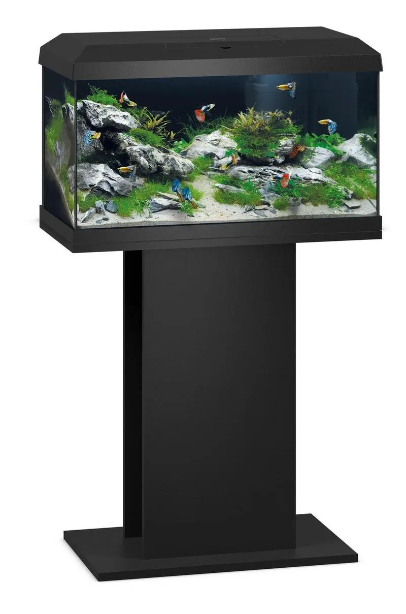 Ekosystem akwarium i zgodność gatunków