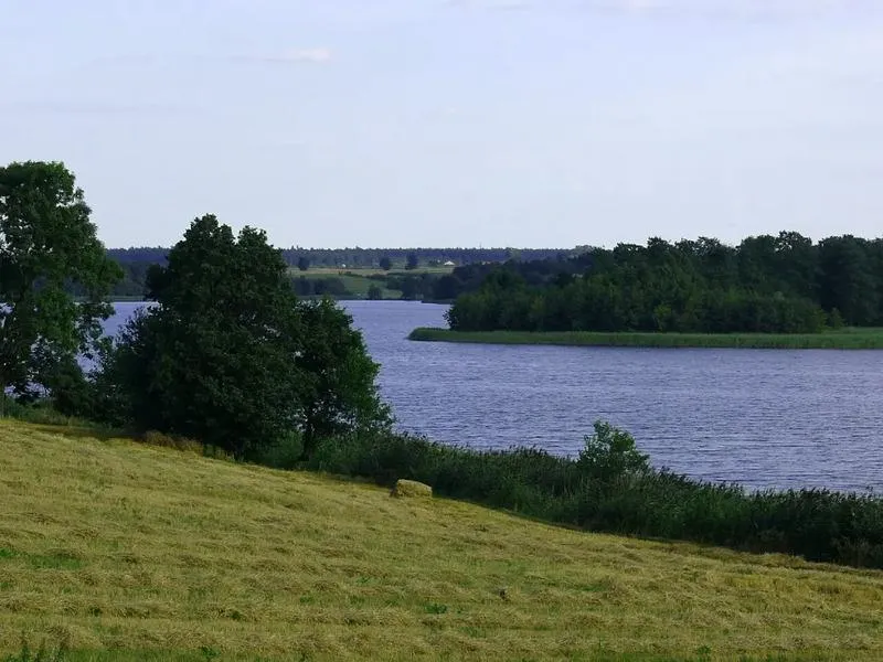 Ekosystemy wodne