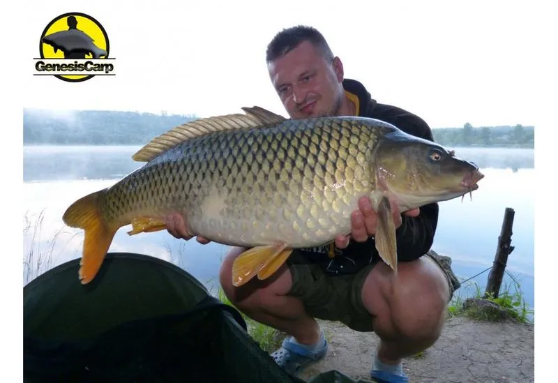 Gatunki ryb rzecznych wiosną