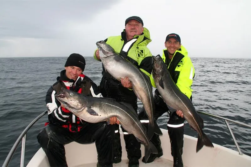 Gatunki ryb w Norwegii