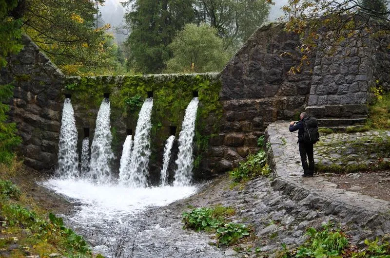 Gatunki ryb w Solinie