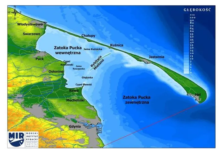 Gatunki ryb w Zatoce Puckiej