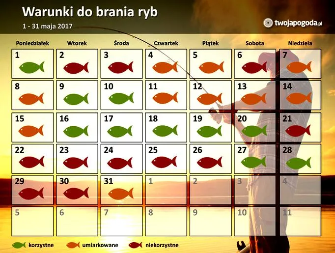 Idealne warunki dla wędkarzy