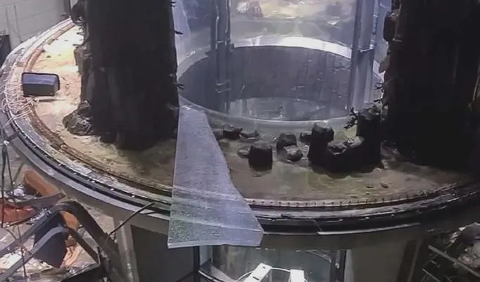 Jak uniknąć pęknięcia akwarium