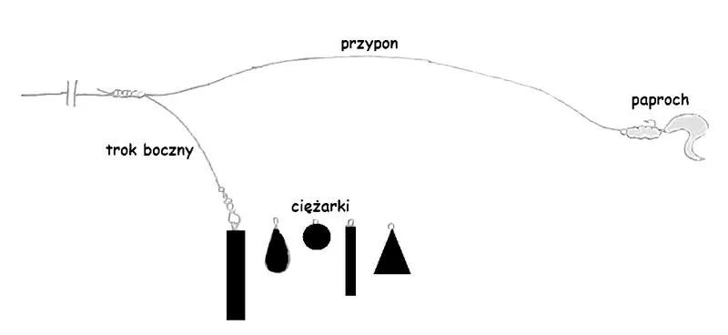 Jak wybrać wędkę