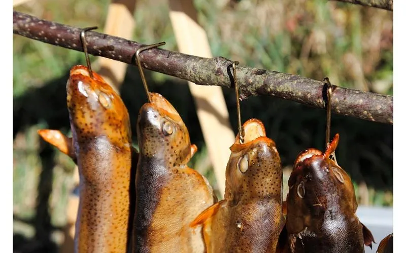 Jak zrobić rybę wędzoną