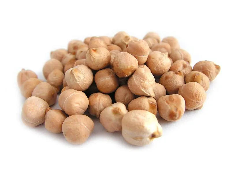 Jakie ryby biorą na ciecierzycę