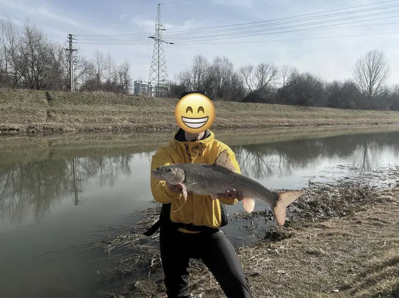 Jezioro Solińskie wędkarstwo