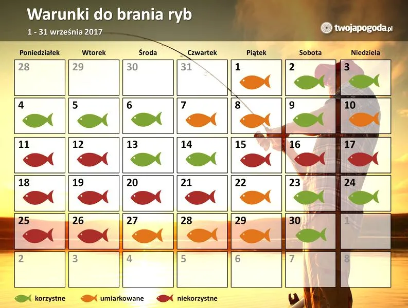 Kalendarz brań ryb