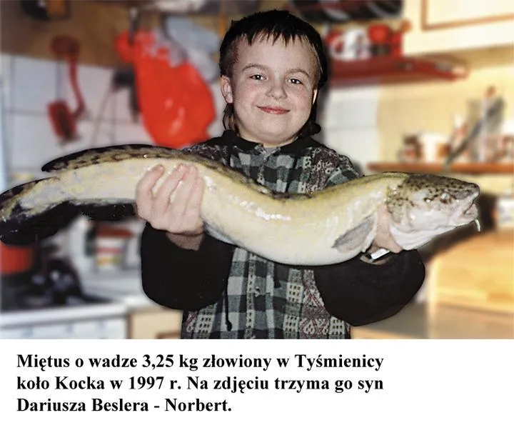 Kiedy łowić miętusa