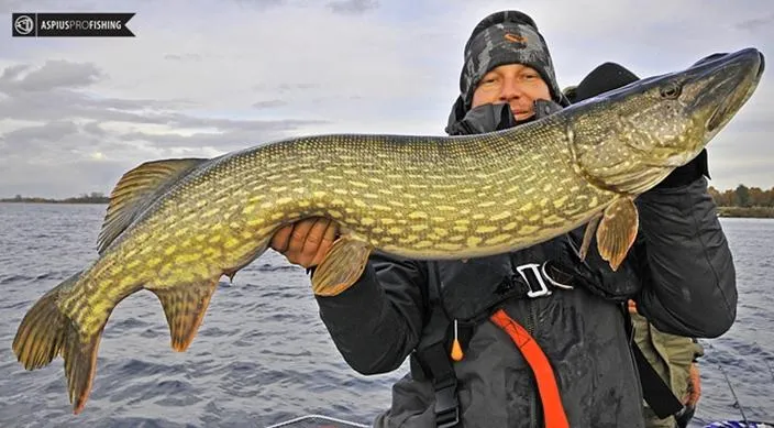 Łowienie ryb w Holandii