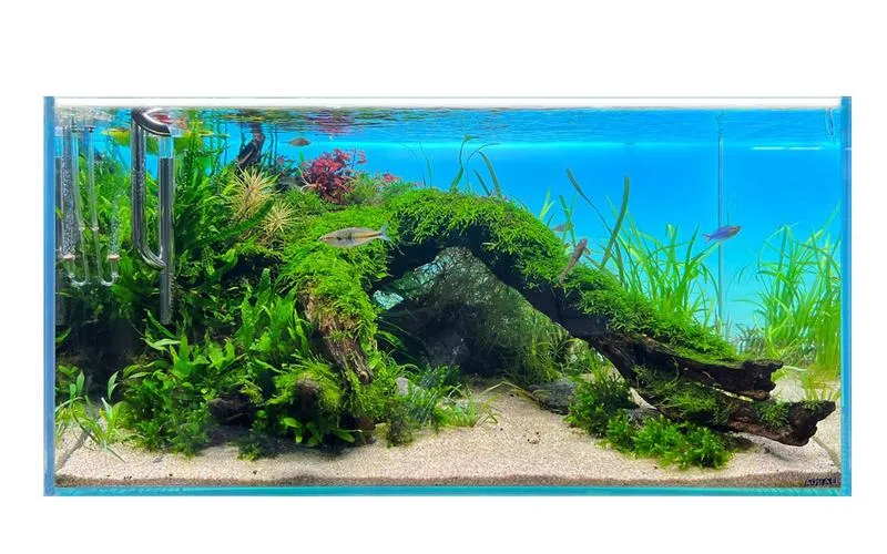 Materiały do tła akwariowego