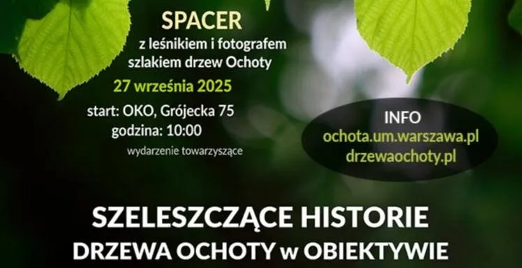 Metody nęcenia leszczy