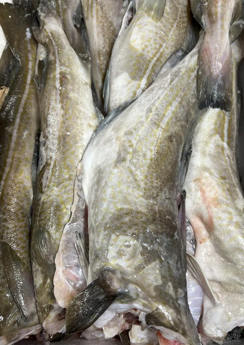 Najlepsze miejsca na dorsza