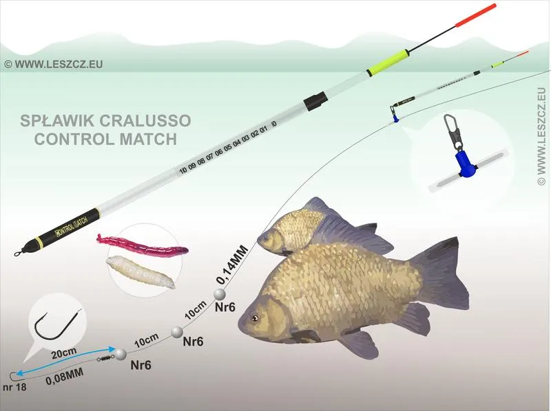Najlepsze przynęty na karasie